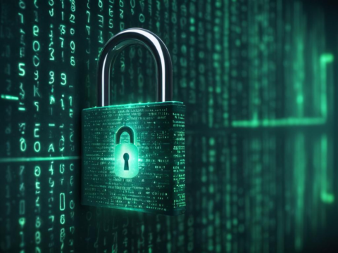Was ist sinnvoll, wenn eine Organisation unter Einsatz von IT-Compliance die Datensicherheit erhöht?